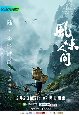 风味人间_老王影院海报